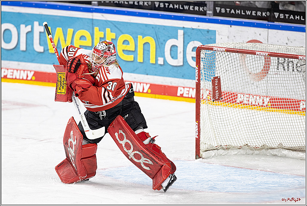 PENNY DEL;  Koelner Haie - Straubing Tigers; Koeln, 28.12.2022